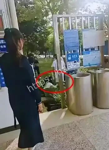 老师遭霸凌活不下去